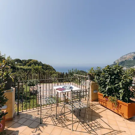 Maria Hotel 4*